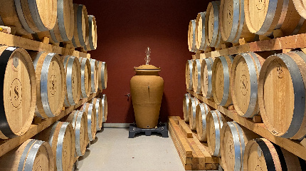 Quinta dos Sentidos