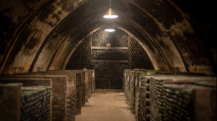 Quinta do Boição & Caves Velhas