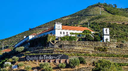 Quinta do Tedo