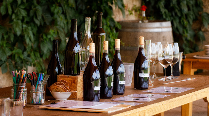 Winemaker for a day 