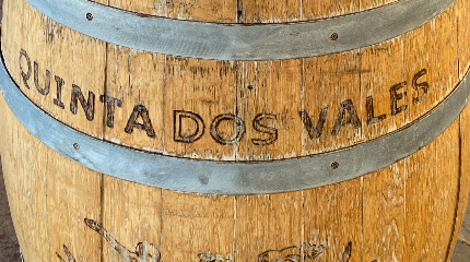 Visita Guiada e Prova de Vinhos Comentada