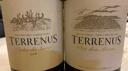 Prova de vinhos de parcela