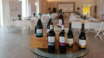 Visita à adega & prova de 7 séculos de vindima