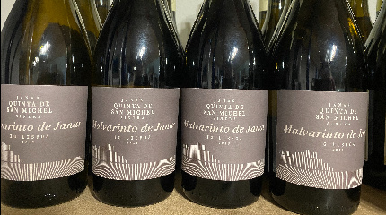 Visita à adega e prova de 3 vinhos 