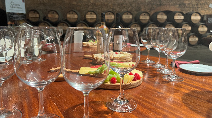 Winery tour and Classic Wine & Cheese Tasting 