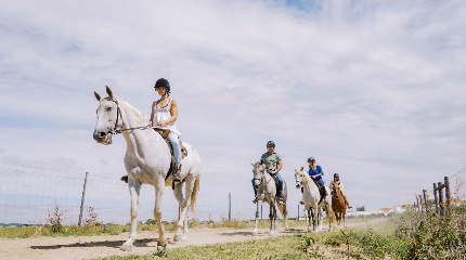 Workshop de Equitação