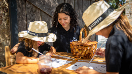 Kids Experience during Harvest 