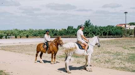 Saddle Lesson
