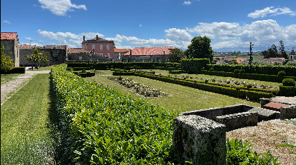 Santar Exclusive Vintage: The winemaker Selection Wine Tasting and Jeep tour 