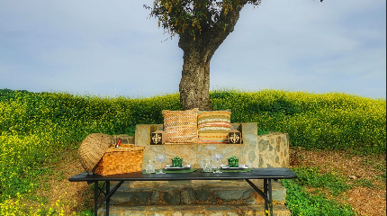 Comfort picnic 