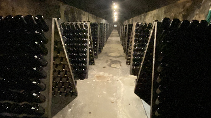 Guided tour & Sparkling Wine Tasting (weekdays)